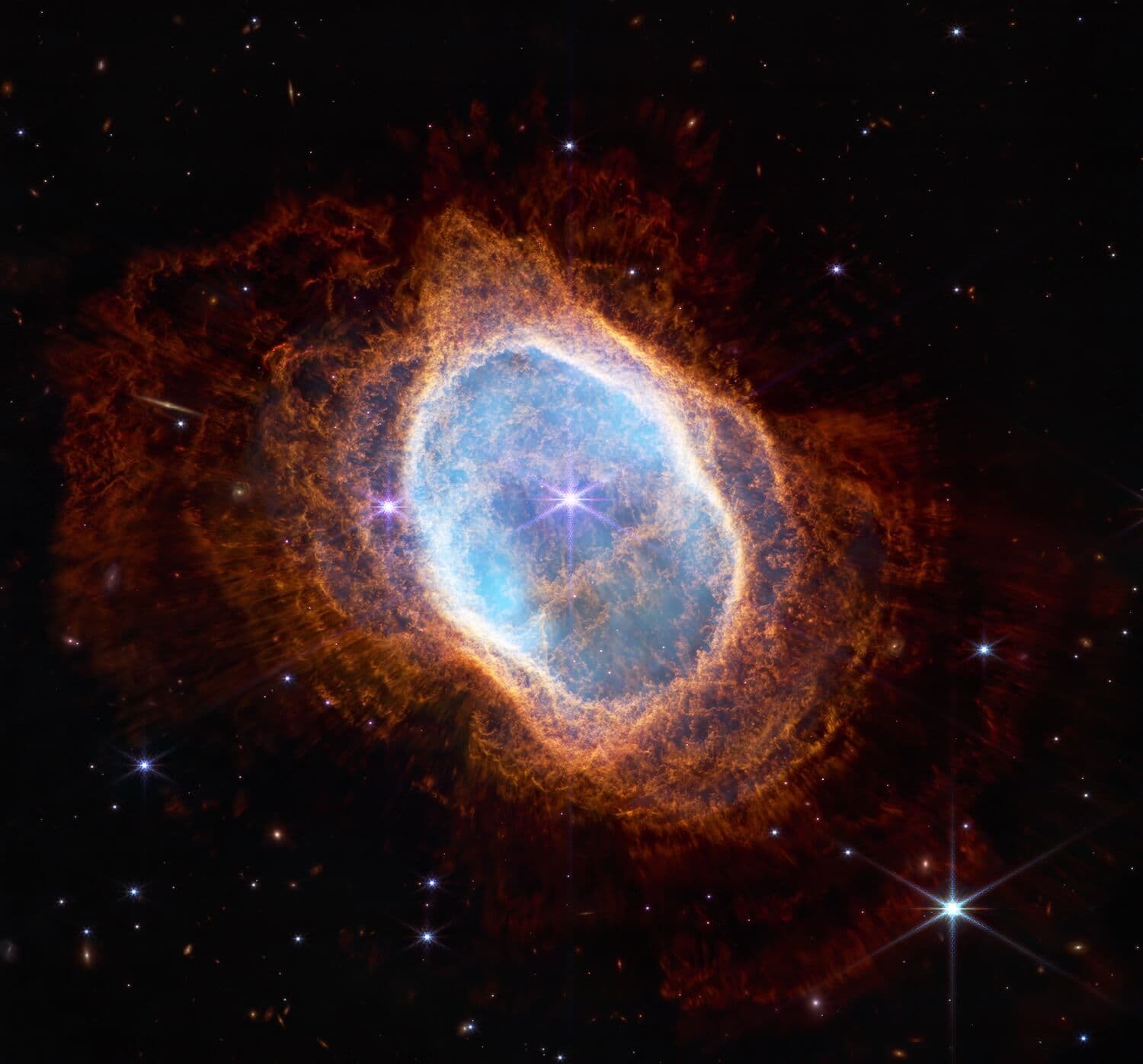Bio in Space
